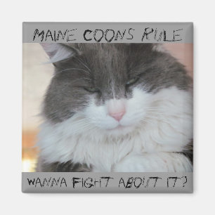 Grumpy Maine Coon Cat Magneet