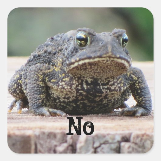 Grumpy Old Toad op een pomp Vierkante Sticker (Voorkant)