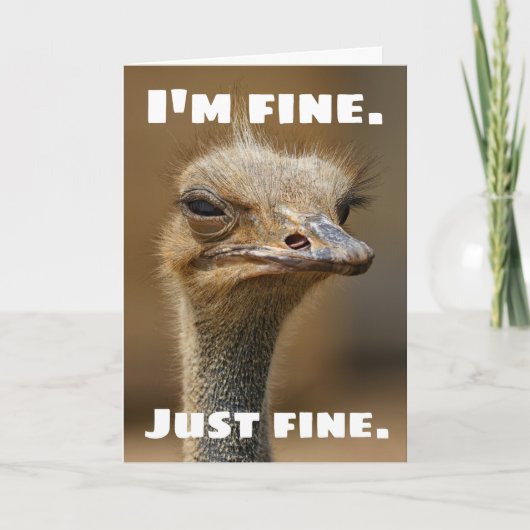 Grumpy Ostrich is gewoon prima. Hoe zit het met jo Kaart (Voorkant)