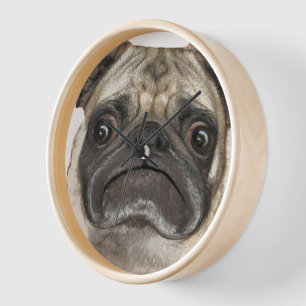 Grumpy Puggy Gifts