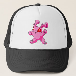 Grundo Roze Trucker Pet