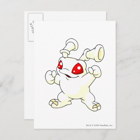 Grundo White Briefkaart (Voorkant / Achterkant)