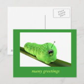 Grüne Raupe Briefkaart (Voorkant / Achterkant)