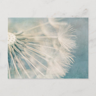 Grunge Dandelion Briefkaart