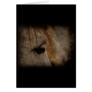 Grunge grise de visage de cheval