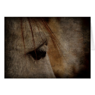 Grunge grise de visage de cheval