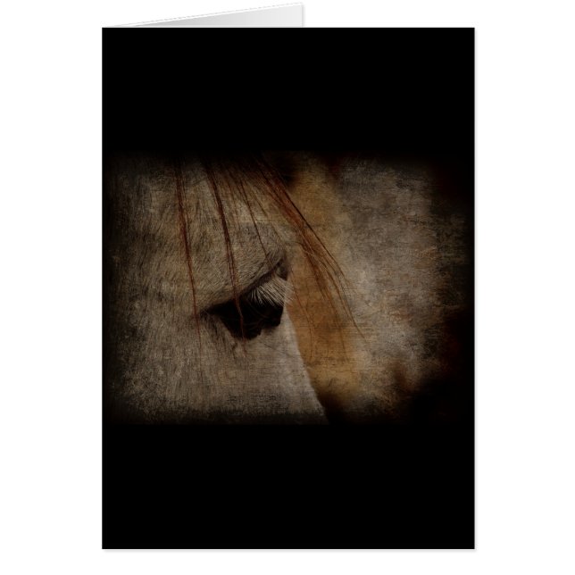 Grunge Grunge (Voorkant)