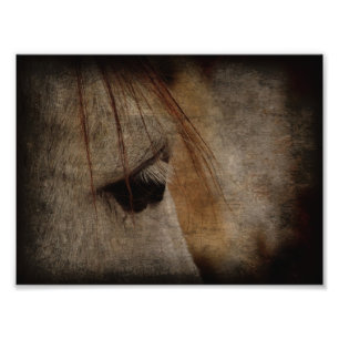 Grunge Grunge Foto Afdruk