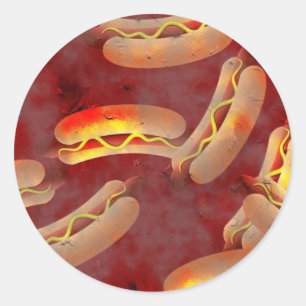 Grunge Hotdogs Ronde Sticker