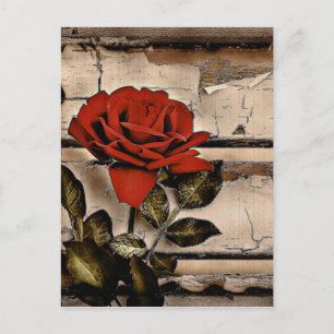 Grunge noodlijdende schuur hout rustieke rode roos briefkaart
