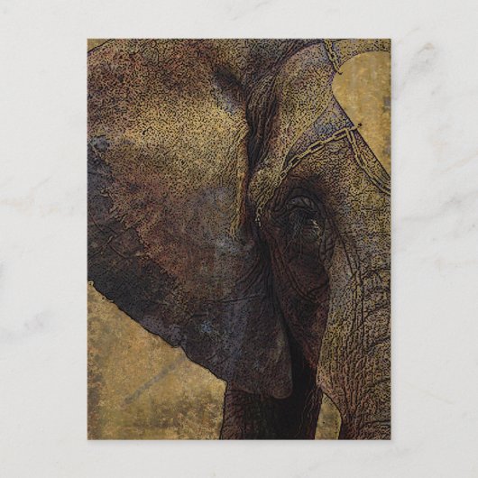 Grunge Parchment Majestic African Elephant Briefkaart (Voorkant)