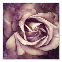 Grunge Texture Painted Roos Photo Print