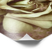 Grunge Texture Peint Rose Photo Imprimer (Coin)