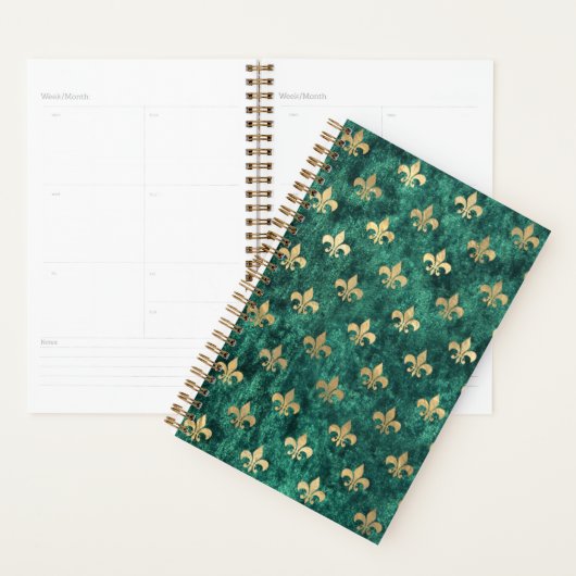Grunge Velvet Vert Fleur De Lis Mardi Gras (Devant avec enveloppe)