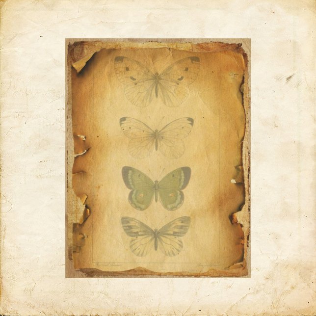 Grungy Butterfly Scrapbook Paper (Creator heeft geüpload)