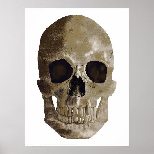 Grungy Skull Poster (Voorkant)