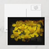 Grungy Yellow Wildflowers Briefkaart (Voorkant / Achterkant)