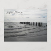 Grüße aus Florida Grußkarte Postkarte Briefkaart (Voorkant)