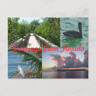 Grüße aus Florida Grußkarte Postkarte Briefkaart