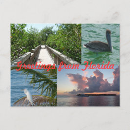 Grüße aus Florida Grußkarte Postkarte Briefkaart