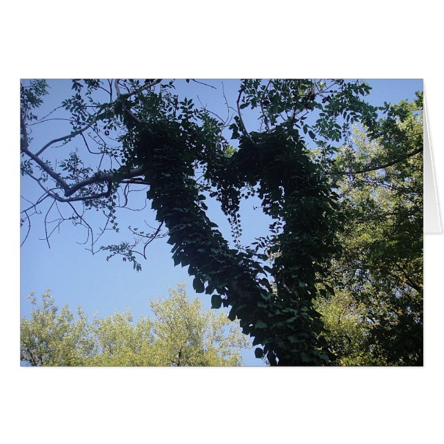 Grusskarte Baumherz, blanko (Devant horizontal)