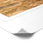 GS Sand Slide Poster (Hoek)