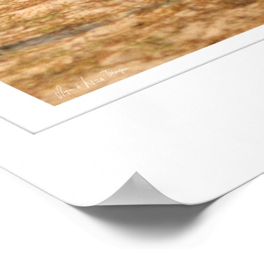 GS Sand Slide Poster (Hoek)