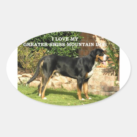 gsmd - liefde met pic ovale sticker (Voorkant)