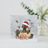 Gsp ,Dog Kerstmas (Staand voorkant)