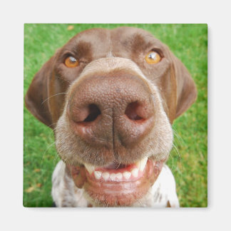 GSP Smile Magnet Magneet