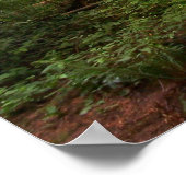 GT salal trail 2 Poster (Hoek)