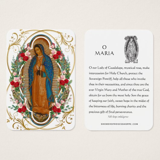 Guadalupe Maagd Mary Spain Prayer Heilige Kaart (Voorkant /achterkant)