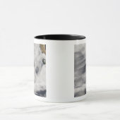 Guadalupe Mok (Midden)