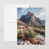 Guadalupe Mountains National Park Travel Briefkaart (Voorkant / Achterkant)