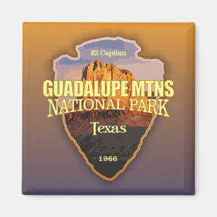 Guadalupe Mtns NP (pijlpunt) Magneet