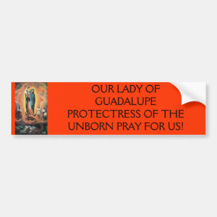 guadalupe, ONZE LADY OF GUADALUPE PROTECTRESS OF.. Bumpersticker