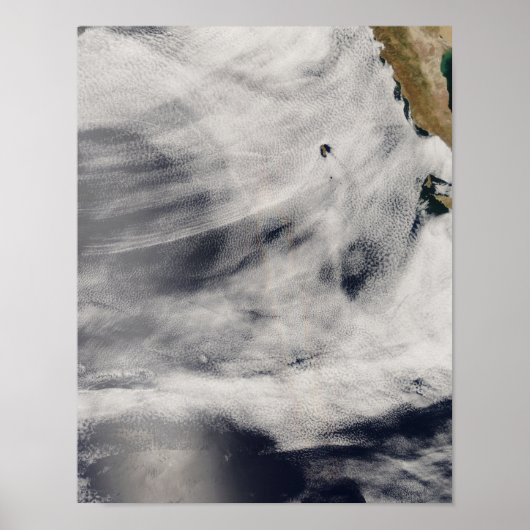 Guadalupe Poster (Voorkant)