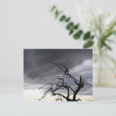 Guadalupe Storm Briefkaart (Staand voorkant)