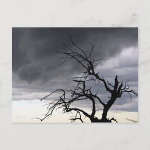 Guadalupe Storm Briefkaart