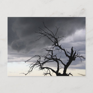 Guadalupe Storm Briefkaart