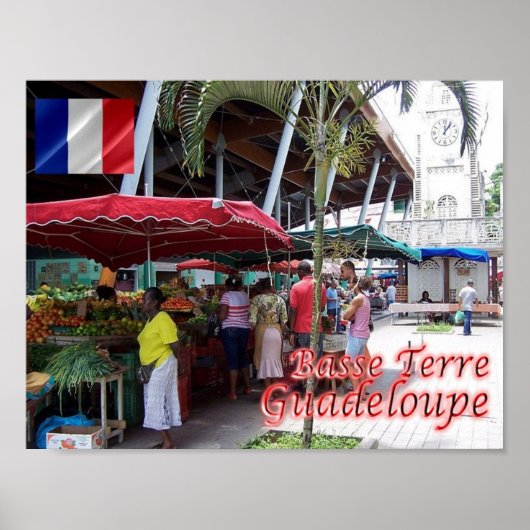 Guadeloupe - Basse Terre - Poster (Voorkant)