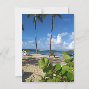 Guadeloupe-briefkaart Briefkaart
