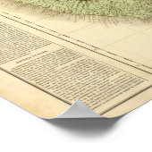 Guadeloupe Poster (Hoek)