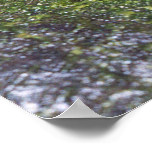 Guajon Poster (Hoek)