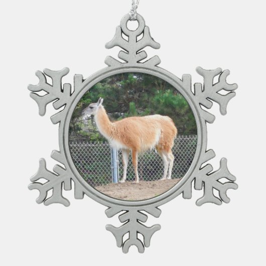 Guanaco #1 Snowflake Ornament (Voorkant)