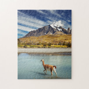 Guanaco over de rivier de Torres del Paine Legpuzzel