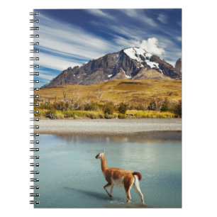 Guanaco over de rivier de Torres del Paine Notitieboek