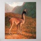 Guanaco (vers 1848) tableau de Jacques-Laurent Ag (Devant)