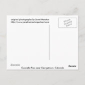 Guanella Pass bij Georgetown Colorado Briefkaart (Achterkant)