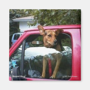 Guard Dog. Magneet
